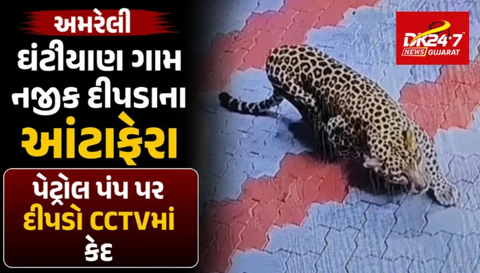 ઘંટીયાણ ગામ નજીક દીપડાના આંટાફેરા...