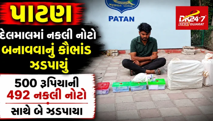દેલમાલમાં નકલી નોટો બનાવવાનું કૌભાંડ ઝડપાયું