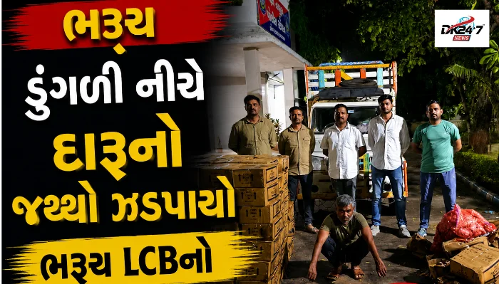 અમરેલીના રાજુલા તાલુકાના વાવેરા ગામે રહેણાંક વિસ્તારમાં મહાકાય અજગરનું વનવિભાગે સફળ રેસ્ક્યુ કર્યું