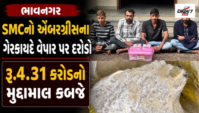 ભાવનગરમાં SMCનો એંબરગ્રીસના ગેરકાયદે વેપાર પર દરોડો, રૂ.4.31 કરોડનો મુદ્દામાલ જપ્ત, ચાર આરોપીની ધરપકડ