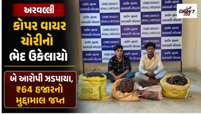 મેઘરજ પોલીસે કૉપર વાયર ચોરીના ગુનામાં બે આરોપીઓની ધરપકડ કરી 12 કિલો કૉપર વાયર અને સ્પ્લેન્ડર પ્લસ મોટરસાયકલ જપ્ત કરી