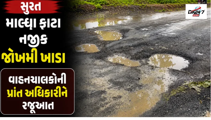 માંડવી–ઝંખવાવ રોડ પર માલ્ધા ફાટા નજીક પડેલા જોખમી ખાડાઓ સામે સ્થાનિકોની રજૂઆત
