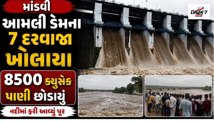 તાપીના આમલી ડેમના સાત દરવાજા ખોલી 8500 ક્યુસેક પાણી છોડવામાં આવ્યું અને 15 ગામોને એલર્ટ કરાયા