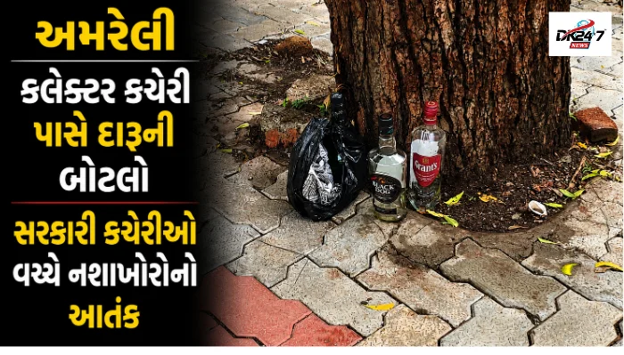 અમરેલીના કલેક્ટર કચેરી અને કોર્ટ બિલ્ડિંગ વચ્ચે જાહેર માર્ગ પર જોવા મળેલી દારૂની ખાલી બોટલો