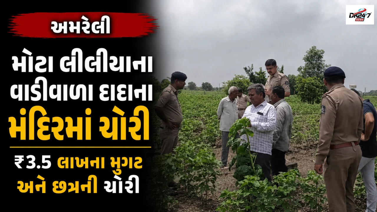મોટા લીલીયાના વાડીવાળા દાદાના મંદિરમાં ચોરી ₹3.5 લાખના મુગટ અને છત્રની ચોરી