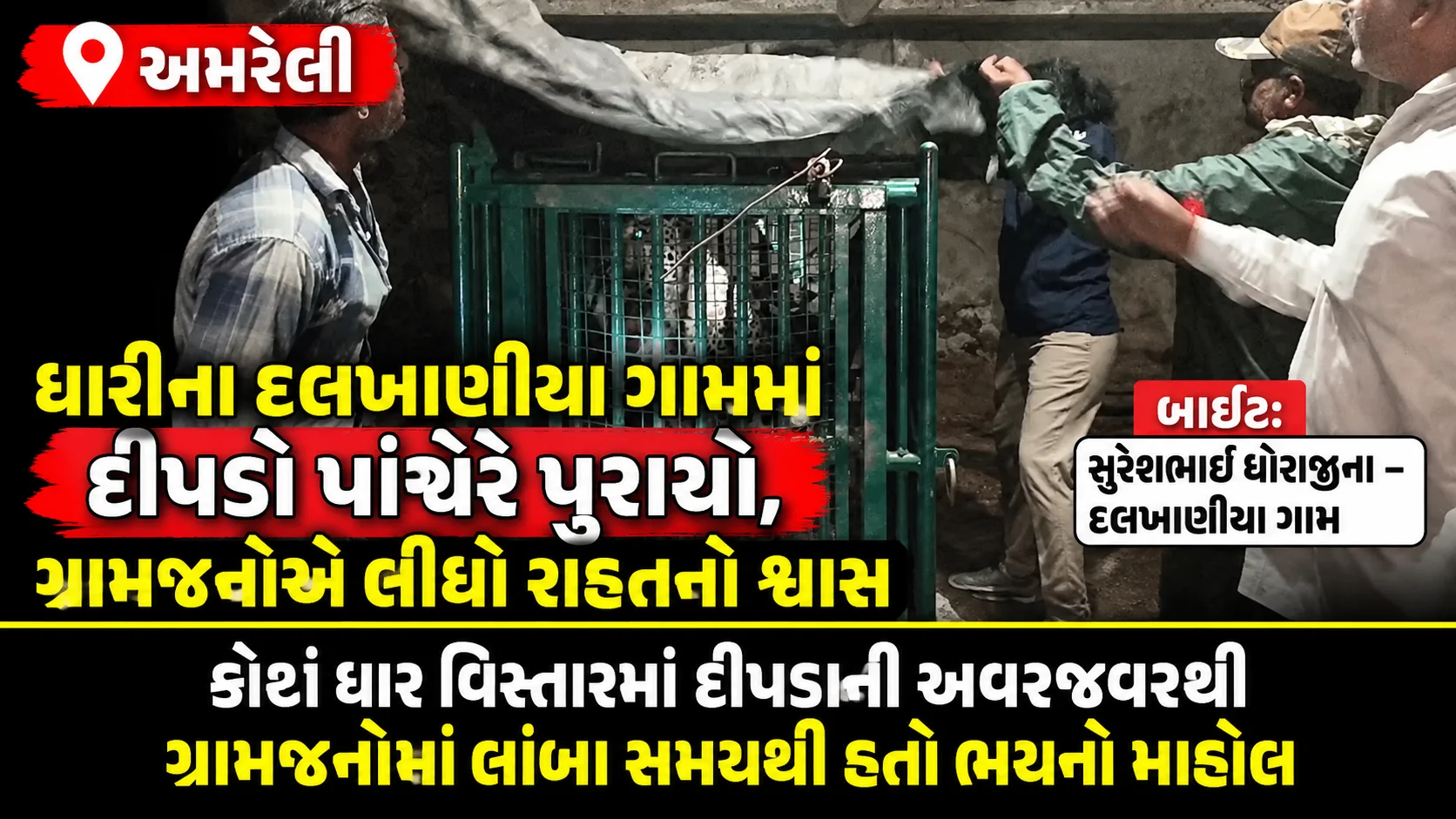 અમરેલી  બાઈટ: સુરેશભાઈ ધોરાજીના – દલખાણીયા ગામ ધારીના દલખાણીયા ગામમાં દીપડો પાંજરે પુરાયો, ગ્રામજનોએ લીધો રાહતનો શ્વાસ