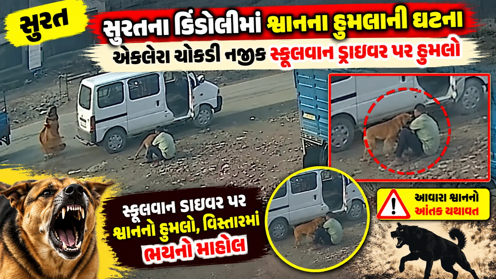 surat  સુરતના ડિંડોલીમાં શ્વાનના હુમલાની ઘટના એકલેરા ચોકડી નજીક સ્કૂલવાન ડ્રાઇવર પર હુમલો